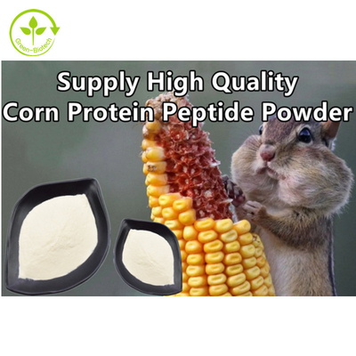 Pó natural de alta qualidade do peptide do milho do apoio do peptide da proteína do milho do extrato da planta
