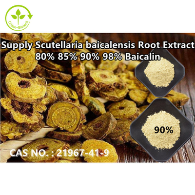 No. verde de Baicalin 80% 85% 90% 98% CAS do extrato do Skullcap de Baical da pureza alta da fonte de Biotech: 21967-41-9