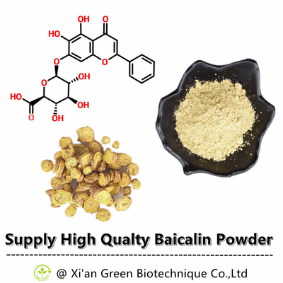 No. verde de Baicalin 80% 85% 90% 98% CAS do extrato do Skullcap de Baical da pureza alta da fonte de Biotech: 21967-41-9