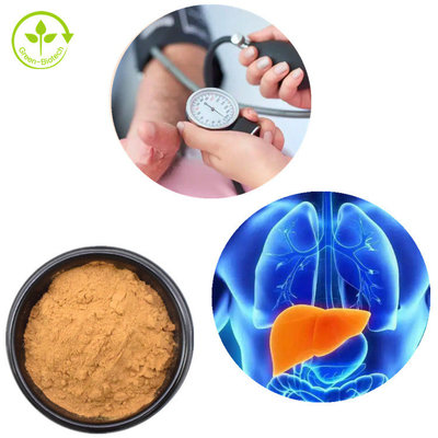 Pó 30% do cogumelo de Mane Mycelium Extract Hericium Erinaceus dos leões