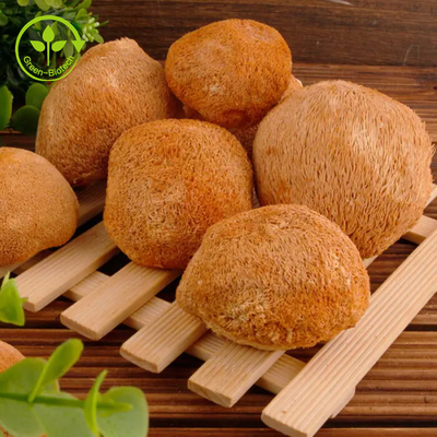 Pó 30% do cogumelo de Mane Mycelium Extract Hericium Erinaceus dos leões
