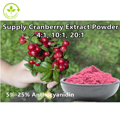 Vaccinium orgânico Macrocarpon do extrato do fruto do arando da antocianida 25% do pó do extrato do arando do 4:1