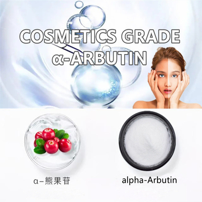 Pó puro de 100% Alpha Arbutin Concentrate Powder Beta Arbutin
