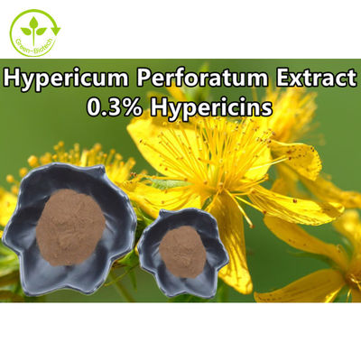 O Hypericum Perforatum extrai 0,3% pós do extrato do Wort de Hypericin St Johns
