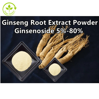 O extrato erval da raiz do ginsém pulveriza Ginsenoside 5% - 80%