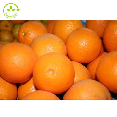 O citrino Aurantium do produto comestível extrai o pó do Hesperidin de Diosmin 98%