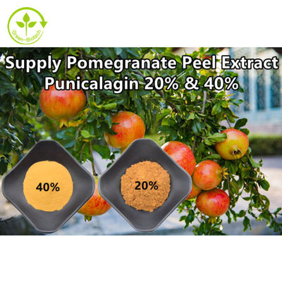 O extrato natural puro da romã pulveriza Punicalagin CAS 65995-63-3