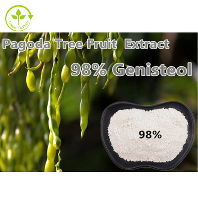 Máxima de Japonica do Nepeta do pó do extrato da planta de 98% Genistein Fructus Sophorae
