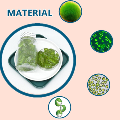 Mar cru Moss Gummies Dietary Supplement do extrato da planta