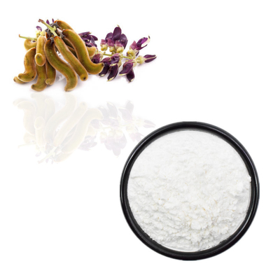 O Mucuna Pruriens da planta extrai o pó do L-Dopa de 98% 99%