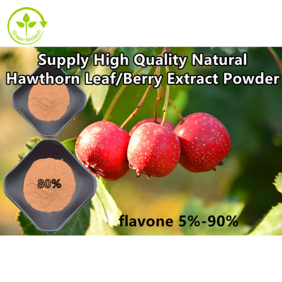 Extrato da folha do crataegus do pó de Berry Extract Flavones 80% do espinho