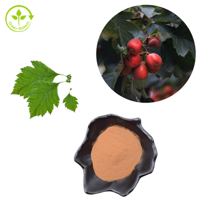 Extrato da folha do crataegus do pó de Berry Extract Flavones 80% do espinho