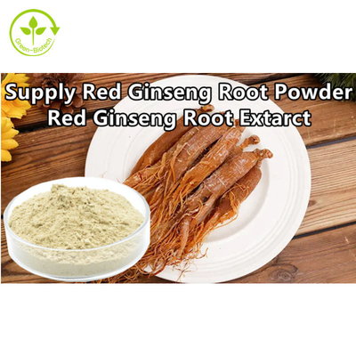 Do pó vermelho coreano natural do ginsém do produto comestível pó vermelho do extrato da raiz do ginsém