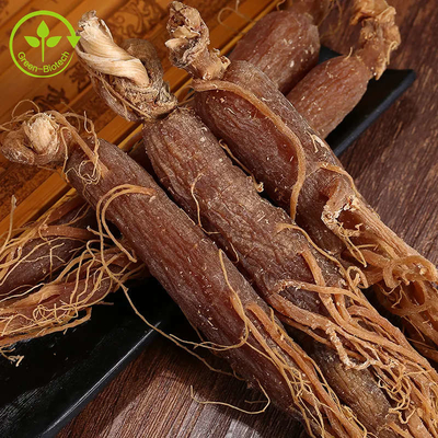 Do pó vermelho coreano natural do ginsém do produto comestível pó vermelho do extrato da raiz do ginsém