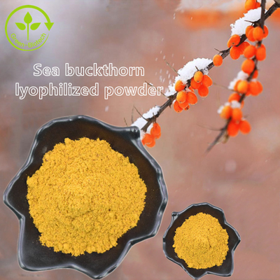 Óleo dos Rhamnoides de Hippophae do óleo do espinheiro cerval de mar de Fructus Hippophae do extrato da planta