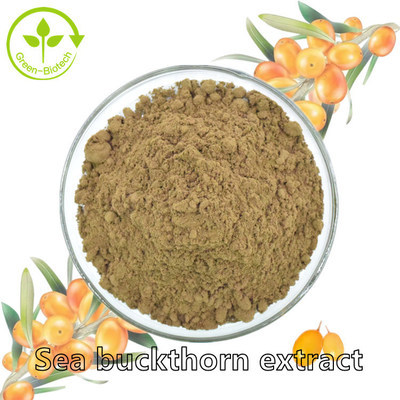 Óleo dos Rhamnoides de Hippophae do óleo do espinheiro cerval de mar de Fructus Hippophae do extrato da planta