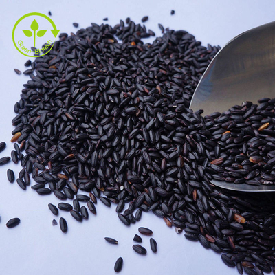 As anticianinas pretas 100% puras maiorias do extrato do arroz pulverizam 10 - 25%