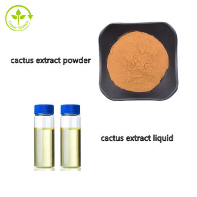 Líquido cosmético do extrato do fruto do cacto de Hoodia da categoria nos volumes