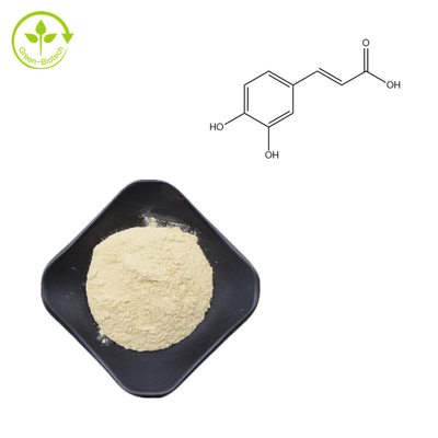 A planta natural da categoria cosmética extrai o pó ácido Caffeic 99% CAS 331-39-5
