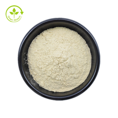A planta natural da categoria cosmética extrai o pó ácido Caffeic 99% CAS 331-39-5