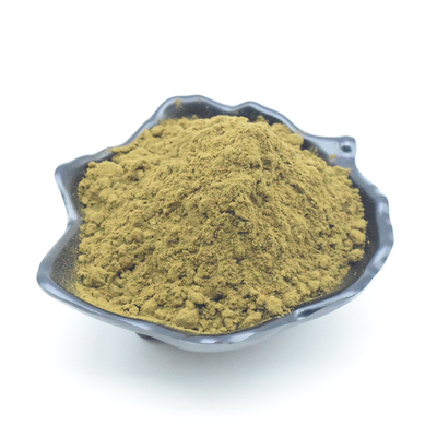 O melhor Ajuga Turkestanica do preço extrai o pó puro de Turkesterone 2% 10% Turkesterone