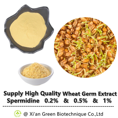 O extrato natural por atacado Spermidine do germe de trigo do suplemento ao alimento pulveriza 0,2% 0,5% 1%