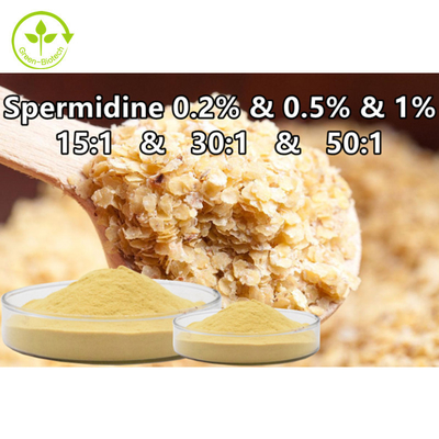 Suplemento Spermidine ao alimento do pó do Spermine do extrato do germe de trigo 0,1% 0,5% 1%