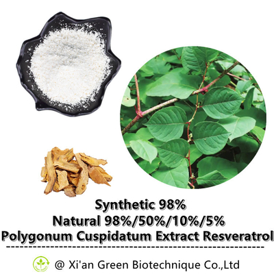 Extrato da raiz de Cuspidatum do Polygonum do pó do Transporte-Resveratrol de 99%