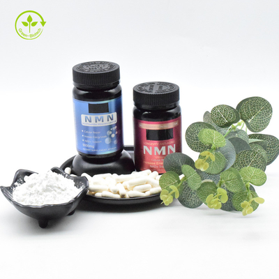 O Oem 500mg Nmn suplementa a cápsula antienvelhecimento de Nmn