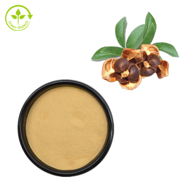 Saponin Camellia Japonica Seed Extract Powder do chá de 60% para o aditivo da alimentação