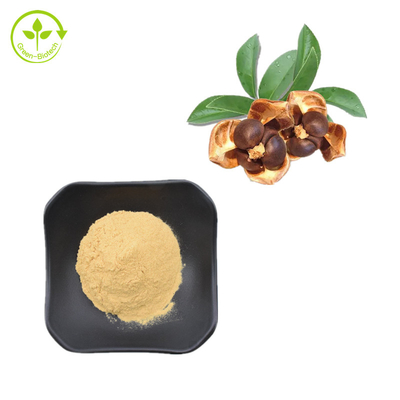 Pó natural do Saponin da semente do chá dos extratos 80% da planta de CAS 8047-15-2