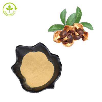 Pó natural do Saponin da semente do chá dos extratos 80% da planta de CAS 8047-15-2