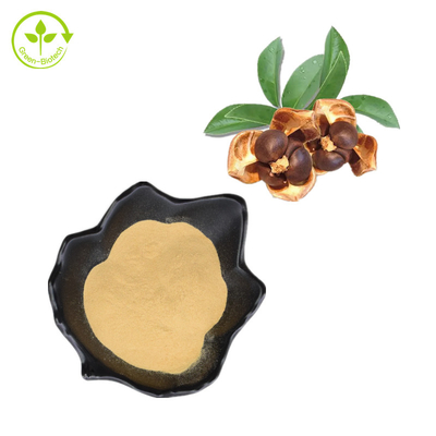 Pó natural dos Saponins do chá de 100% Camellia Seed Extract 95%
