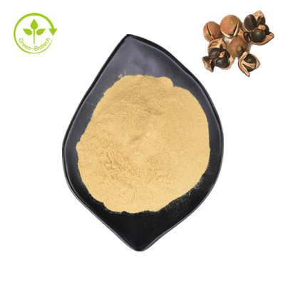 Saponin natural do chá de Camellia Sinensis Seed Extract 98% para o alimento