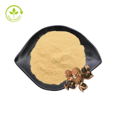O Saponin natural do extrato da semente do chá pulveriza 90% para o cosmético