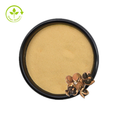 O Saponin de Camellia Sinensis Seed Extract Tea pulveriza 50% 60% 70% 80% 85% 90% 95% 98%
