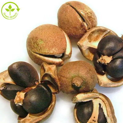 O Saponin de Camellia Sinensis Seed Extract Tea pulveriza 50% 60% 70% 80% 85% 90% 95% 98%