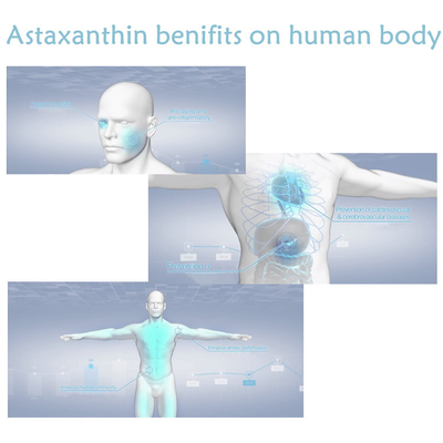 Suplementos antioxidantes ao pó do Astaxanthin do extrato 10% do Pluvialis de Haematococcus