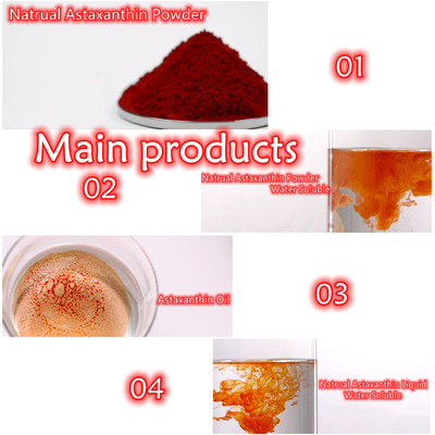 Suplementos antioxidantes ao pó do Astaxanthin do extrato 10% do Pluvialis de Haematococcus