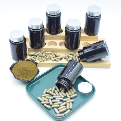 Ajuga Turkesterone Beta Cyclodextrin Complex Capsule Hydroxypropyl de 10%