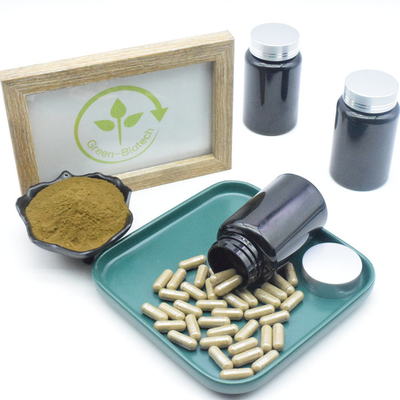 Cápsulas puras do suplemento 10% 40% 500mg Turkesterone ao extrato de Turkestanica do Ajuga