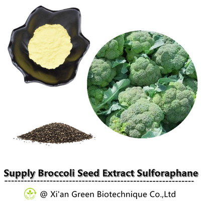 O extrato Sulforaphane da planta dos brócolis pulveriza 1% 13% 20% 28%