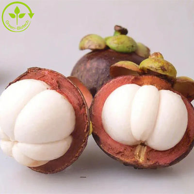 Alpha Mangostin pó natural do extrato do fruto do mangustão dos extratos da planta de 10% - de 95%