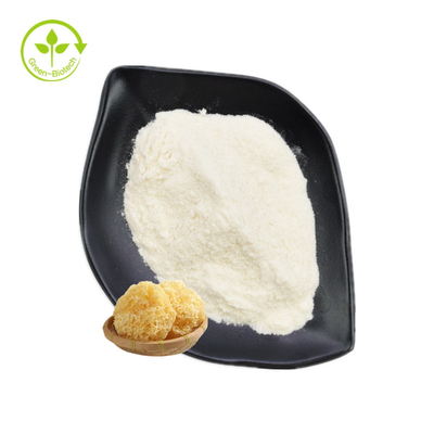 Os polisacáridos do extrato de Fuciformis do Tremella pulverizam 30% - 50%