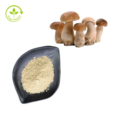 Pó puro natural 99% do boleto de Penny Bun Porcini Mushroom Extract