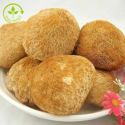 Leões orgânicos Mane Mushrooms Mycelium Extract Powder para o chá/Matcha/café