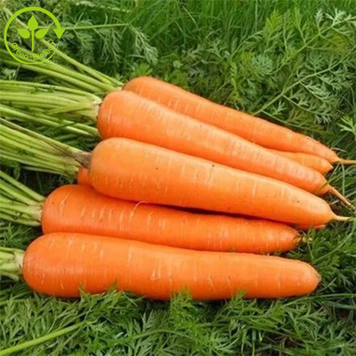 Aditivos de alimento que colorem o fermento Beta Carotene Powder 10%