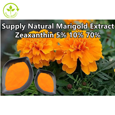 A planta natural da flor do cravo-de-defunto extrai o pó 10% do Zeaxanthin
