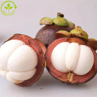 Pó natural puro do extrato do mangustão p.e-alpha-mangostin 10%-90% Alpha Mangostin do extrato do mangustão