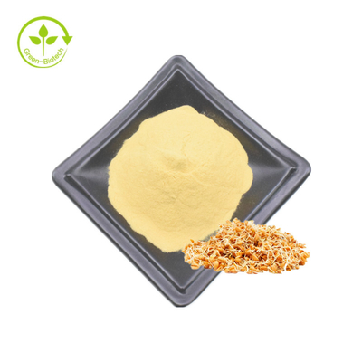 O extrato fermentado do germe de trigo pulveriza 0,2% 0,5% 1% 99% Spermidine